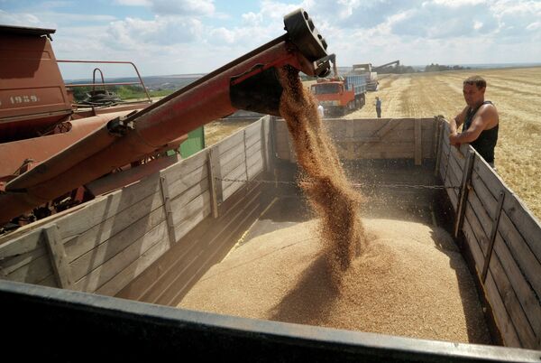 Уборка пшеницы в Воронежской области
