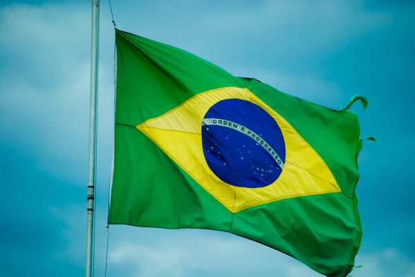 %Флаг Бразилии