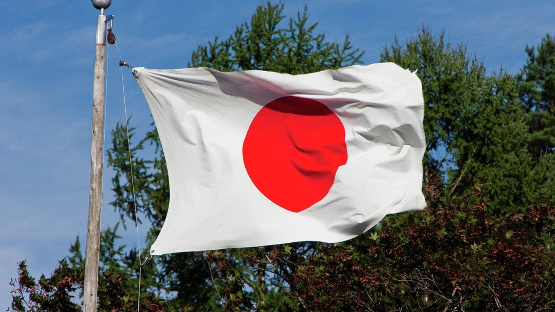 флаг Японии - ПРАЙМ, 1920, 03.11.2023