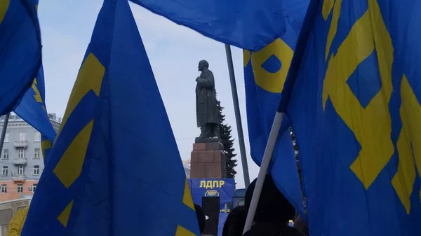 флаги ЛДПР