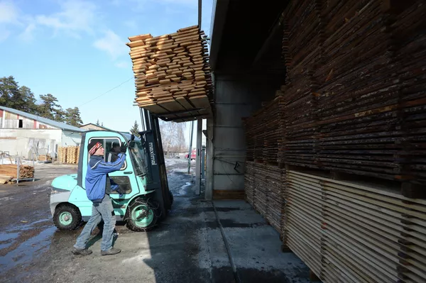  Заготовка леса в Новосибирской области