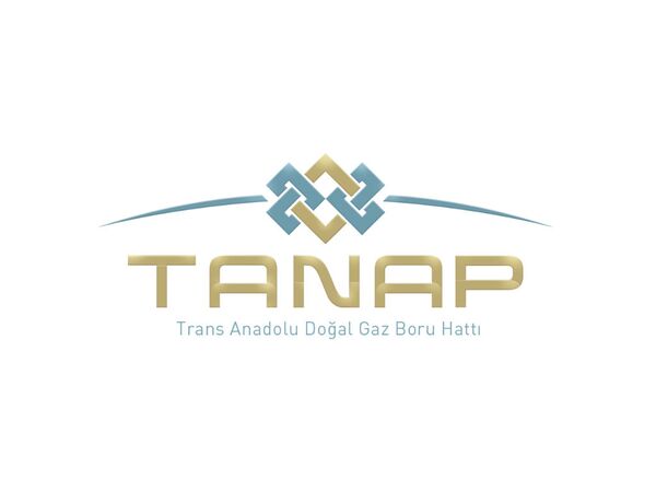 Логотип компании TANAP