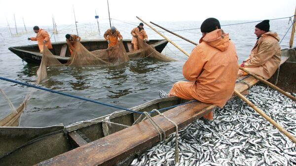 В ВАРПЭ обвинили страны Балтии в намерении оставить ЕС без российской рыбы