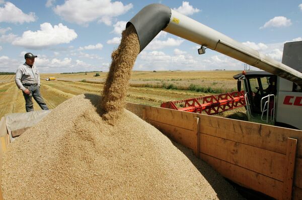 Fesco планирует развивать перевалку зерна через Владивостокский порт