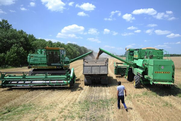 Сбор урожая пшеницы