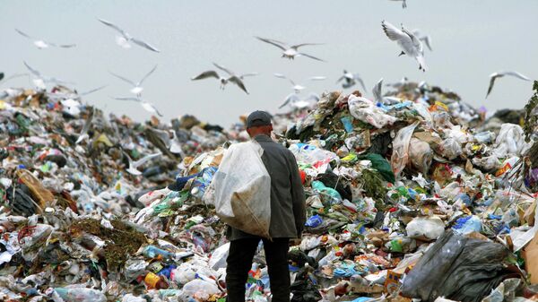 СП: Порядка 90 млрд тонн мусора скопилось на 4 млн гектаров российских свалок