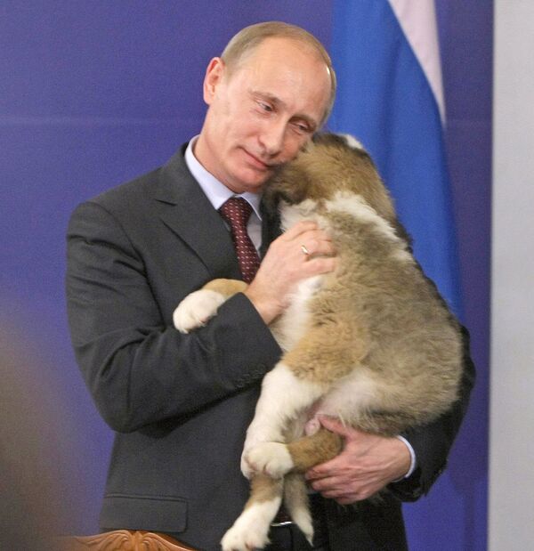 Глава правительства Болгарии Бойко Борисов подарил В.Путину щенка болгарской овчарки. 13 ноября 2010 года.