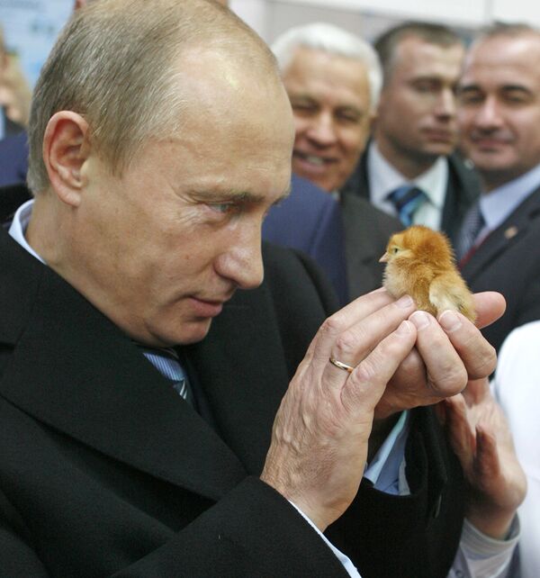 Владимир Путин во время посещения юбилейной, 10-ой агропромышленной выставки Золотая осень