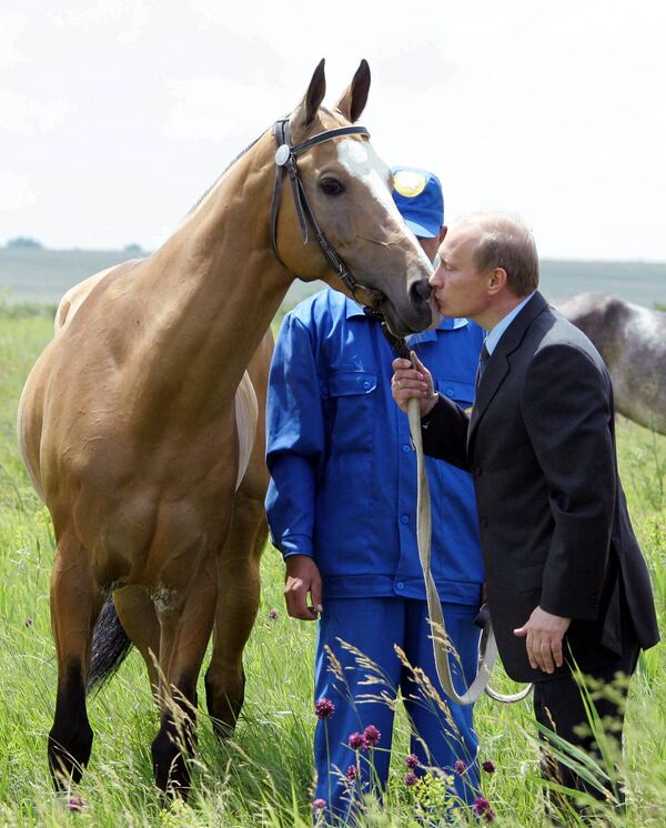 Путин целует лошадь во время посещения выставки достижений агропромышленного комплекса Калмыкии. 17 июня 2005 года.