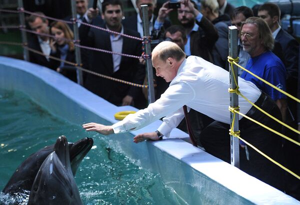 Владимир Путин во время посещения Приморского океанариума, строящегося на острове Русский. 1 сентября 2013 года.