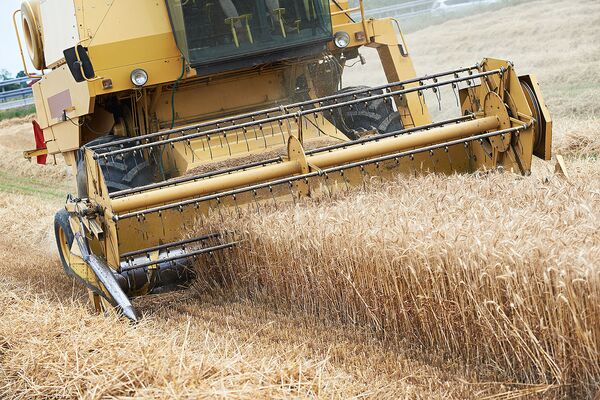 IGC повысил прогноз экспорта зерна из России в текущем сельхозгоду на 1%