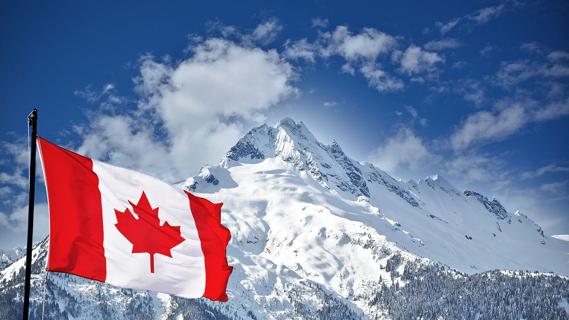 Канадский флаг. - ПРАЙМ, 1920, 24.02.2022