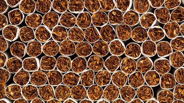 В Госдуму внесен законопроект о госмонополии на производство табака в России