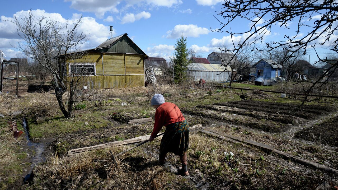 Дачников предложили штрафовать, если они не 