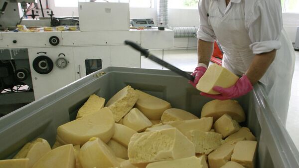Работа сыродельческого предприятия