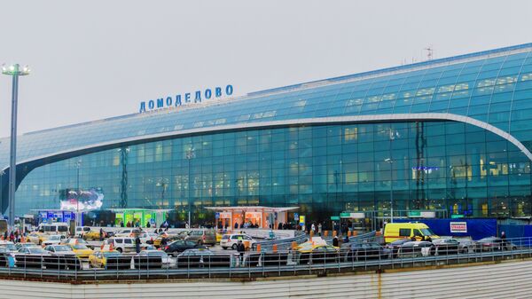 *Аэропорт Домодедово