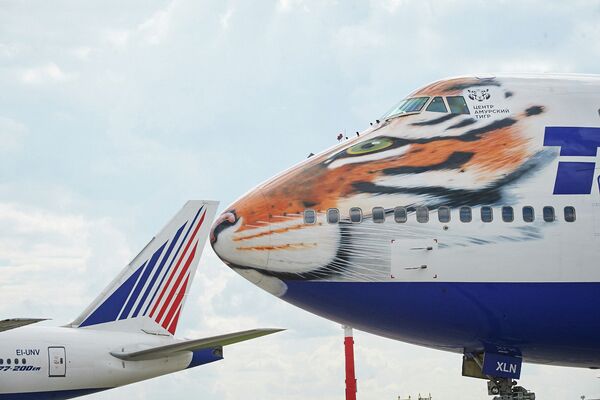 Авиакомпания Трансаэро и созданный Русским географическим обществом центр Амурский тигр представили самолет Boeing 747-400 в тигриной раскраске
