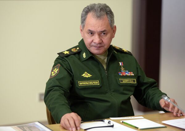 *Министр обороны РФ Сергей Шойгу