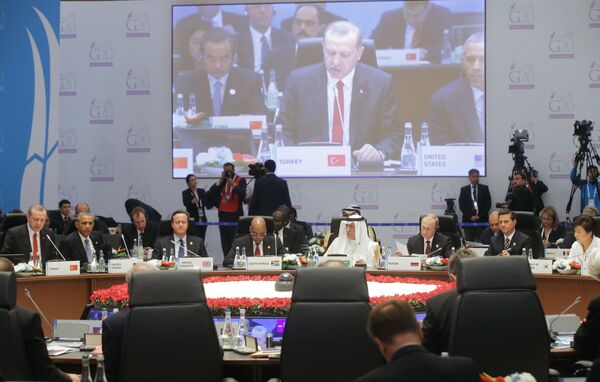 *Президент РФ В.Путин принимает участие в саммите G20 в Турции