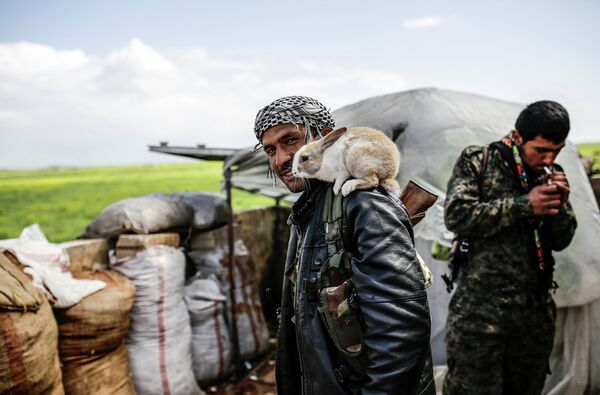 Курдский повстанец возле города Кобани в Сирии