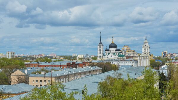 *Вид на центральную часть города Воронеж