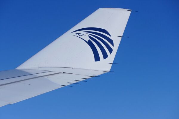 *Логотип компании EgyptAir на крыле самолета