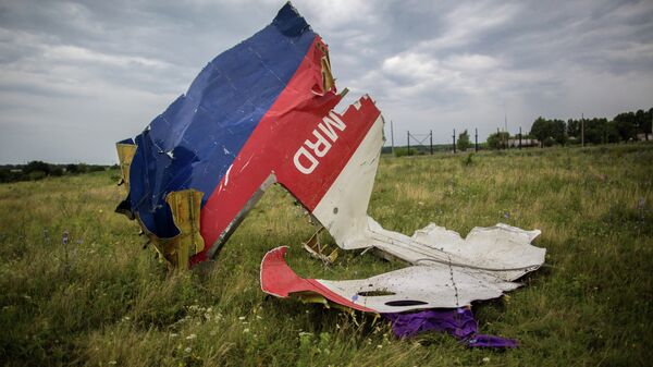 Обломки лайнера Boeing 777 Малайзийских авиалиний, потерпевшего крушение в районе города Шахтерск Донецкой области