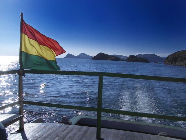 #Флаг Боливии