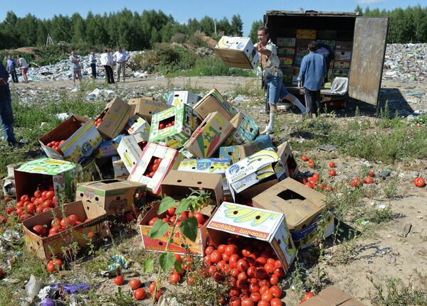 Уничтожение помидоров, задержанных на российско-белорусской границе