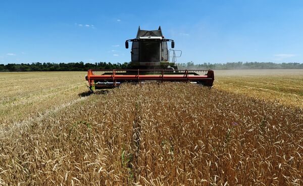 %Уборка пшеницы в Ростовской области