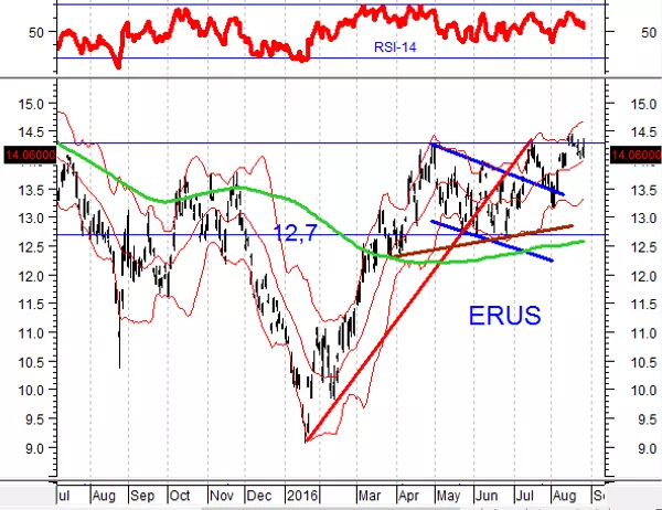 erus erus