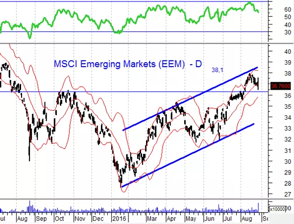 MSCI MSCI