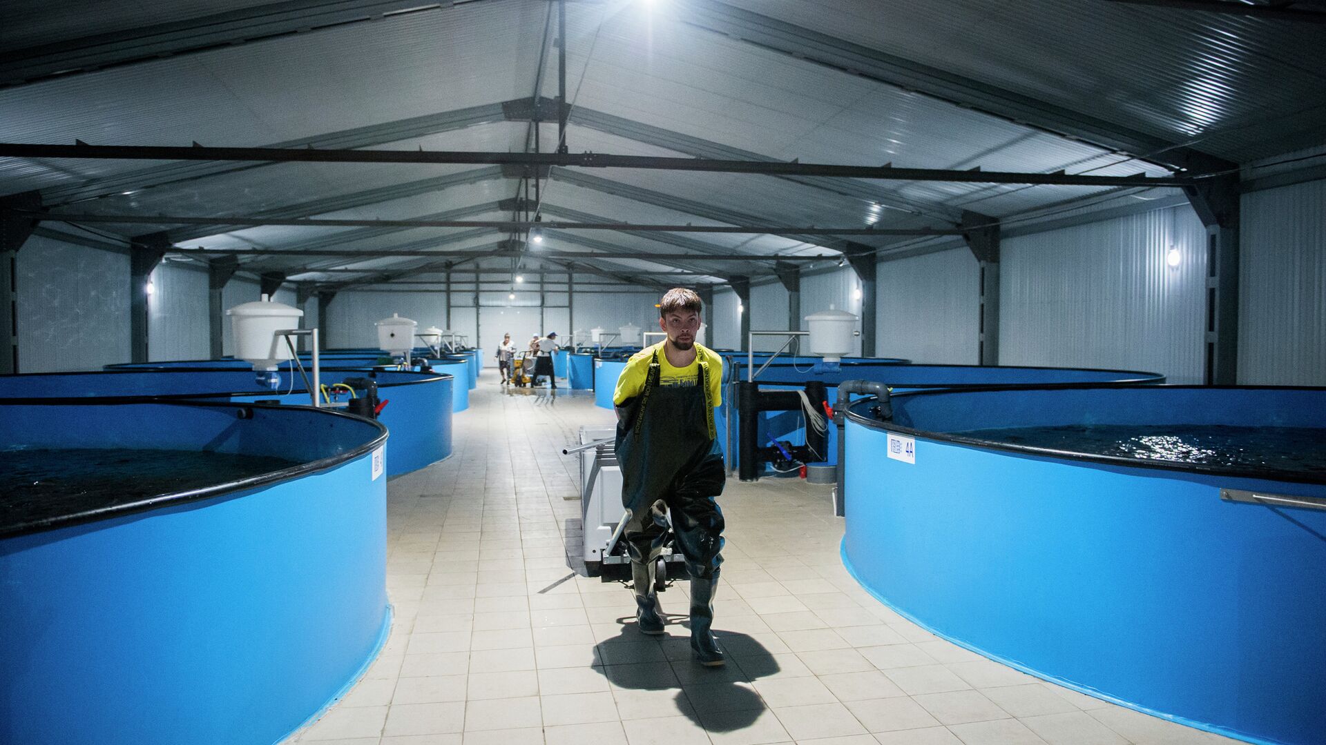 #Рыбоводное хозяйство по разведению осетровых и лососевых рыб #Рыбоводное хозяйство по разведению осетровых и лососевых рыб - ПРАЙМ, 1920, 25.09.2020