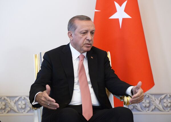 Президент Турции Реджеп Тайип Эрдоган во время встречи с президентом России Владимиром Путиным в Санкт-Петербурге