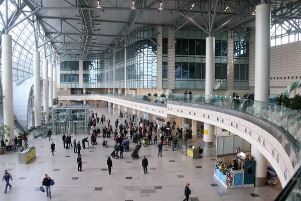 #Пассажиры в аэропорту Домодедово
