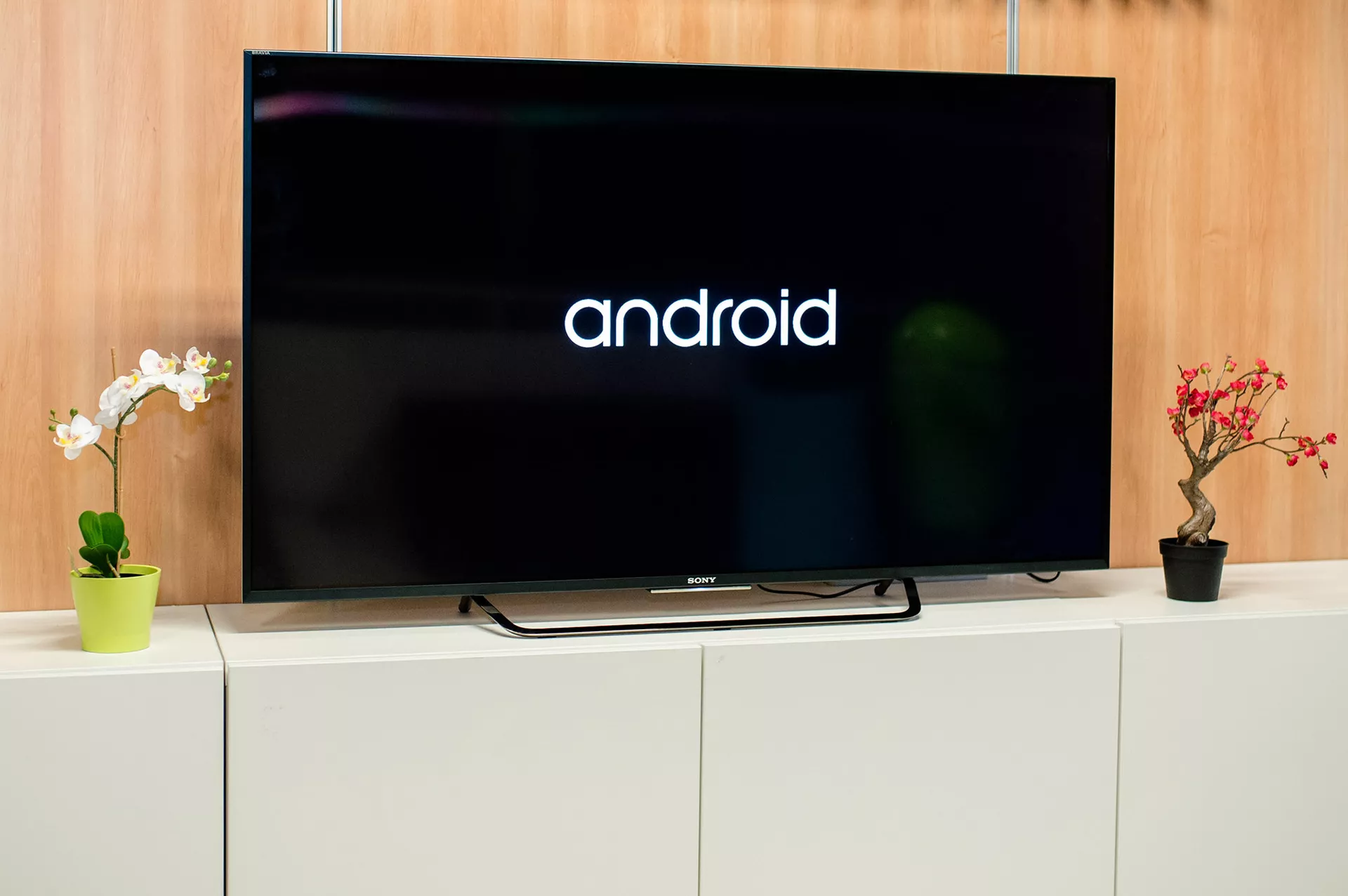 Телевизор Sony - ПРАЙМ, 1920, 05.04.2023