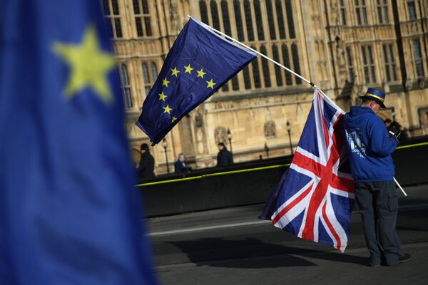%Демонстрант с флагами ЕС и Великобритании в центре Лондона