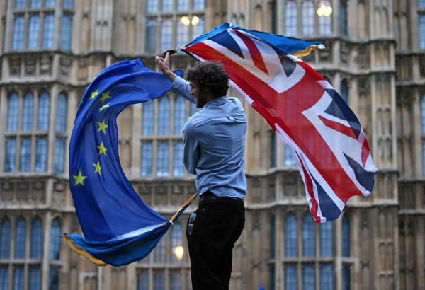 %Участник протеста против Brexit возле здания парламента в Лондоне