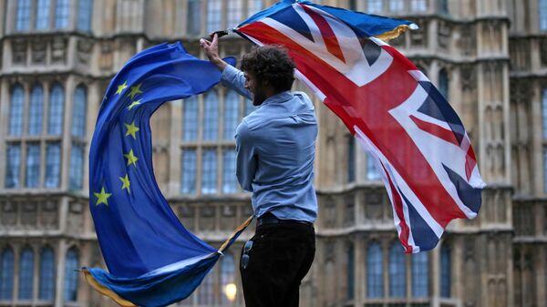 %Участник протеста против Brexit возле здания парламента в Лондоне