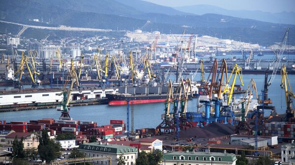 ФАС возбудила дело против Новороссийского морского торгового порта