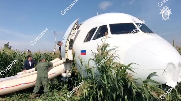 %Пассажирский самолёт совершил аварийную посадку в Подмосковье