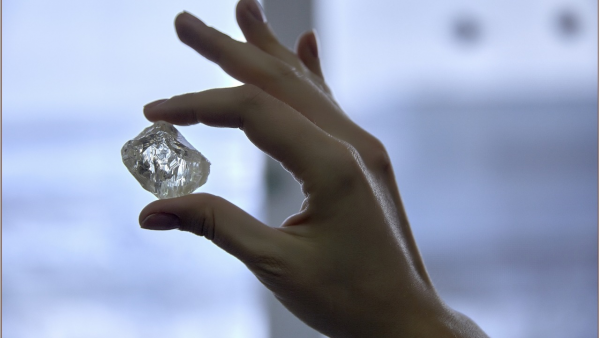 Алроса добыла самый крупный за последние годы алмаз массой более 230 карат