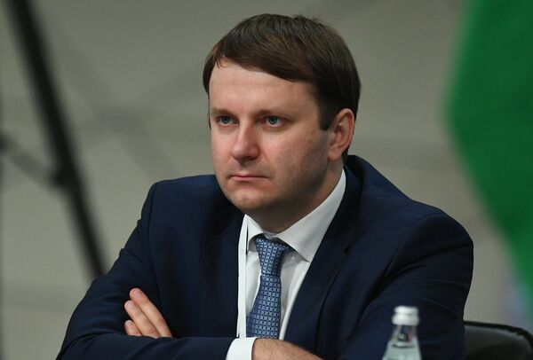 Бывший министр экономического развития РФ Максим Орешкин