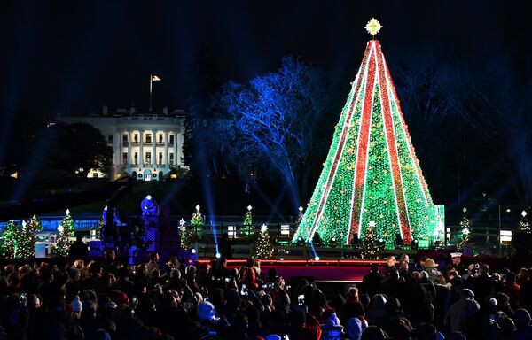 %Зажжение национальной рождественской ели в Вашингтоне