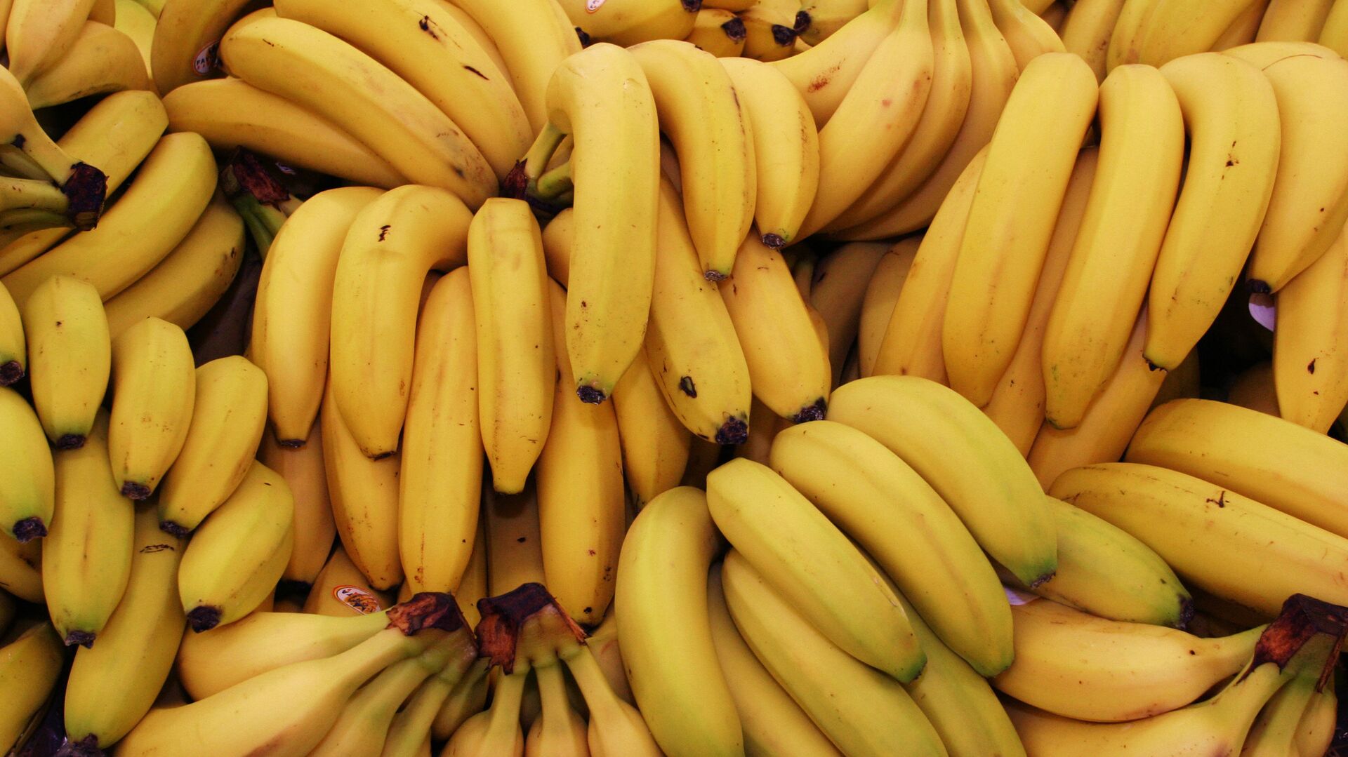 Бананы - ПРАЙМ, 1920, 09.04.2023
