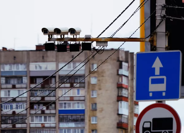 Выделенная полоса