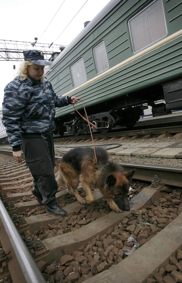 Собака на железной дороге