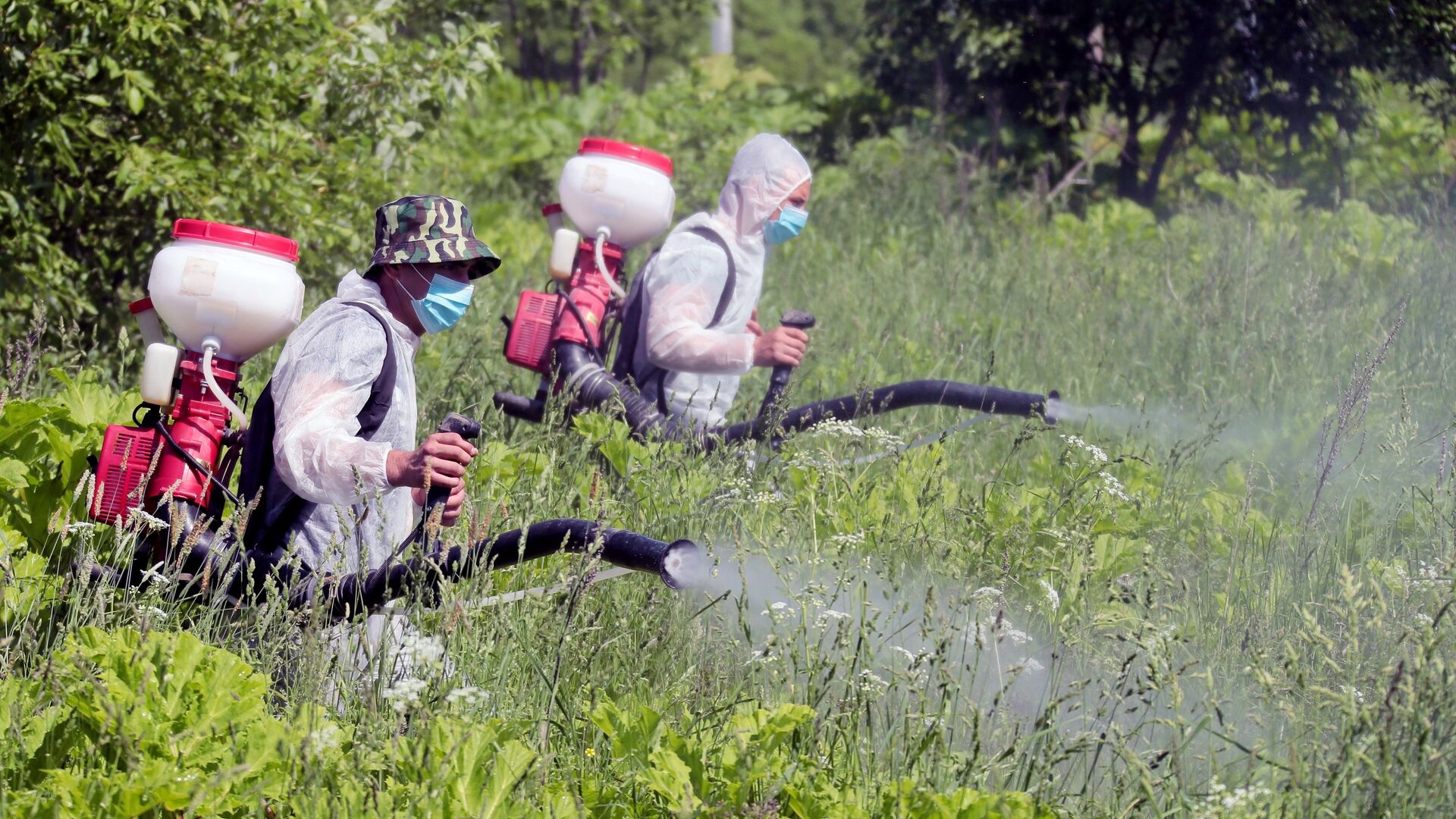 Уничтожение борщевика в Тульской области Уничтожение борщевика в Тульской области - ПРАЙМ, 1920, 23.10.2022