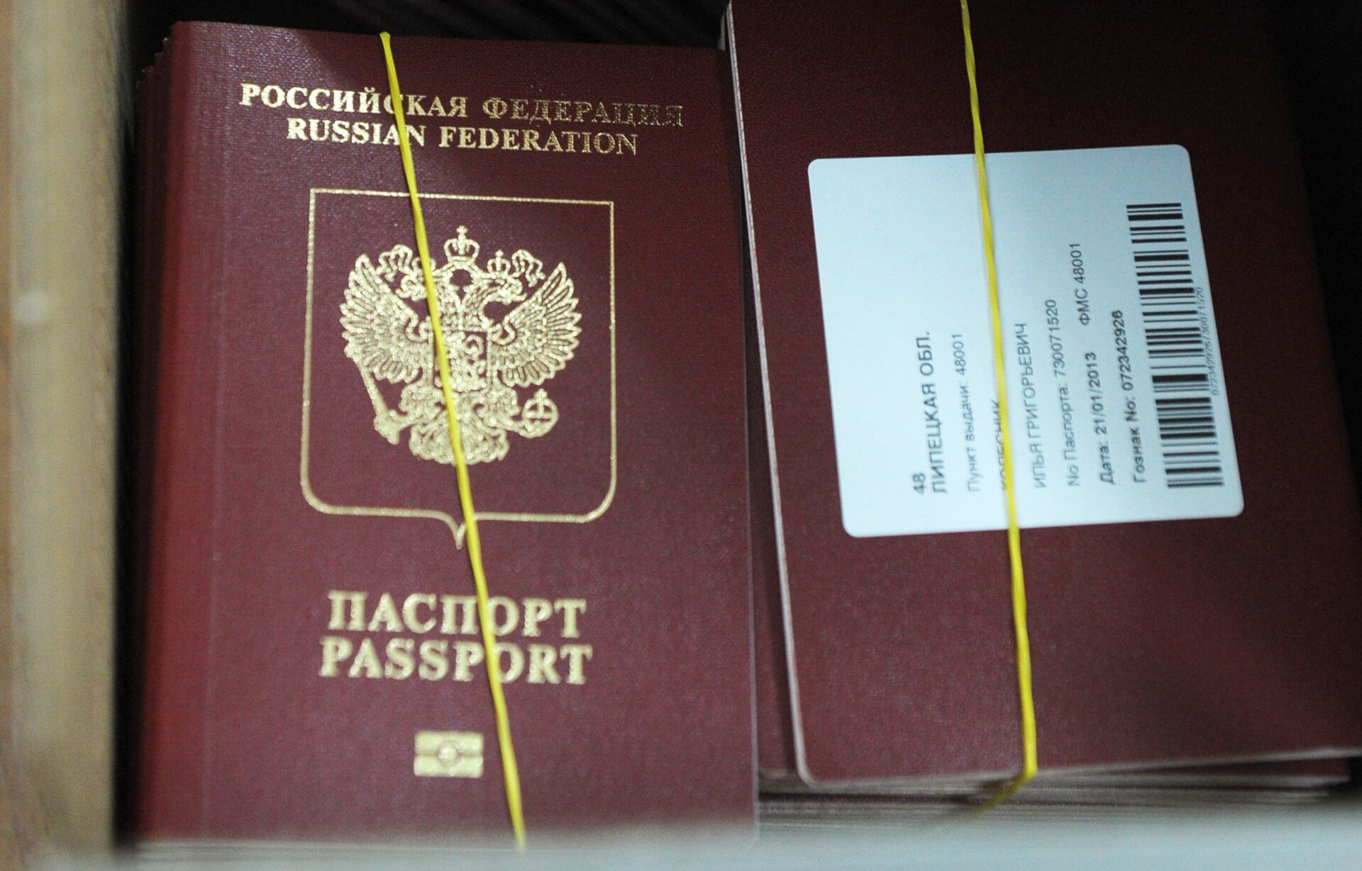 Биометрические заграничные паспорта граждан РФ - ПРАЙМ, 1920, 06.01.2022