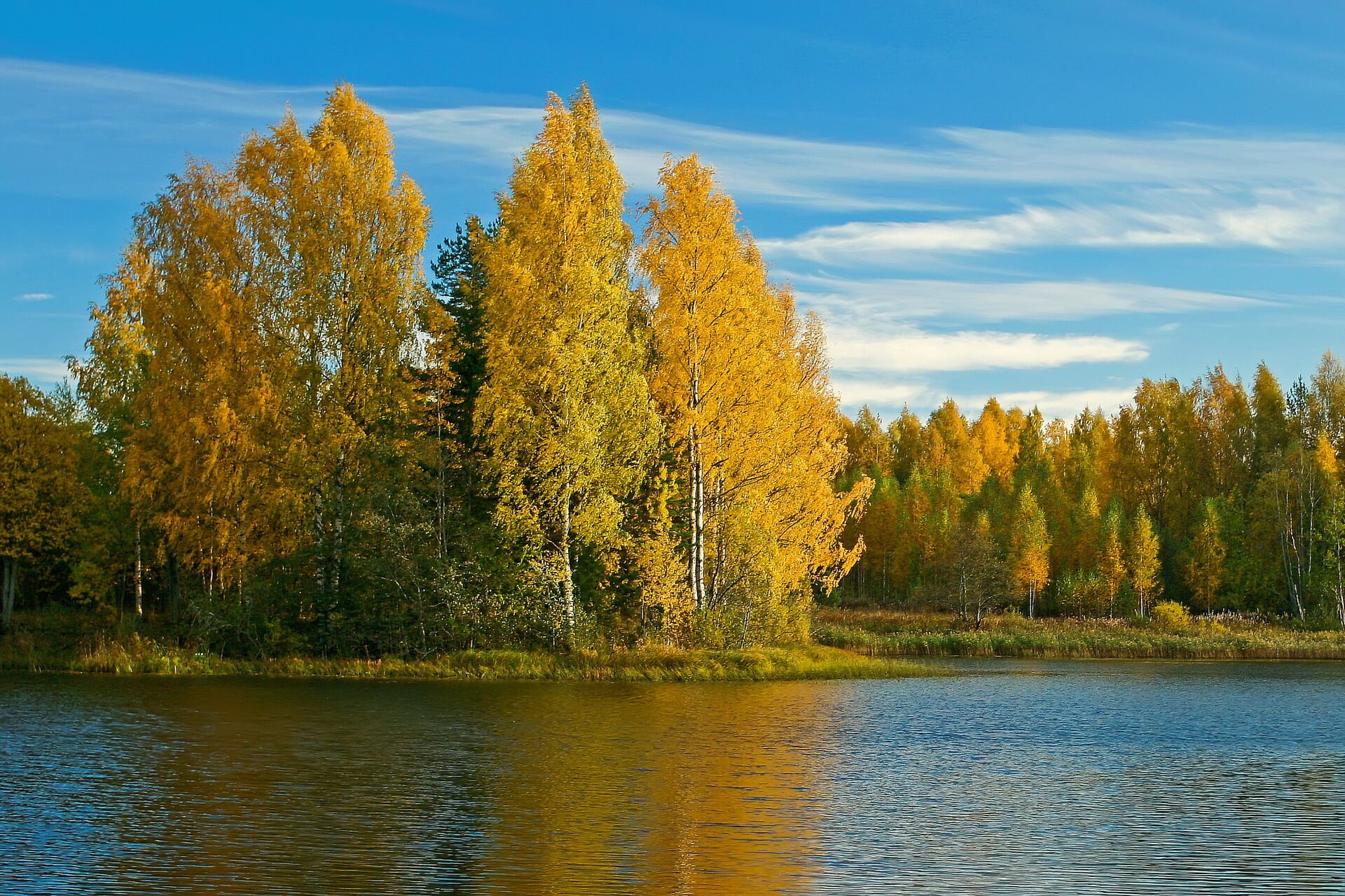 Озеро Вельё - ПРАЙМ, 1920, 11.07.2021